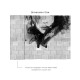 Affreschi & Affreschi | Carpe Diem | CD071
